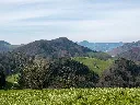 pexels-pth686817-16328191.webp
