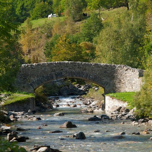 Vers l'autonomie dans les Hautes-Pyrénées